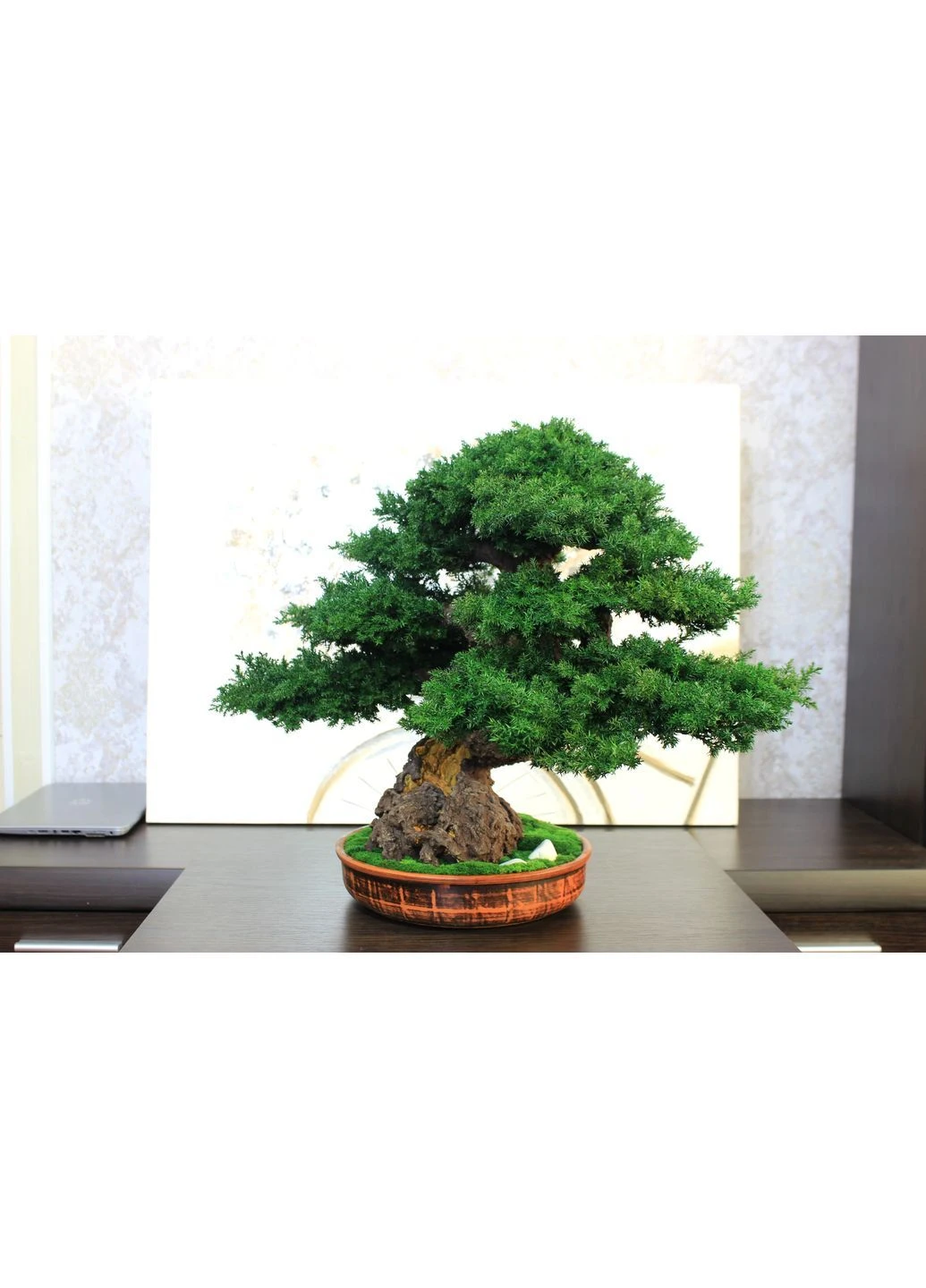 Декоративный бонсай 48 см — природная гармония в вашем пространстве Art Bonsai Trees (388338093)