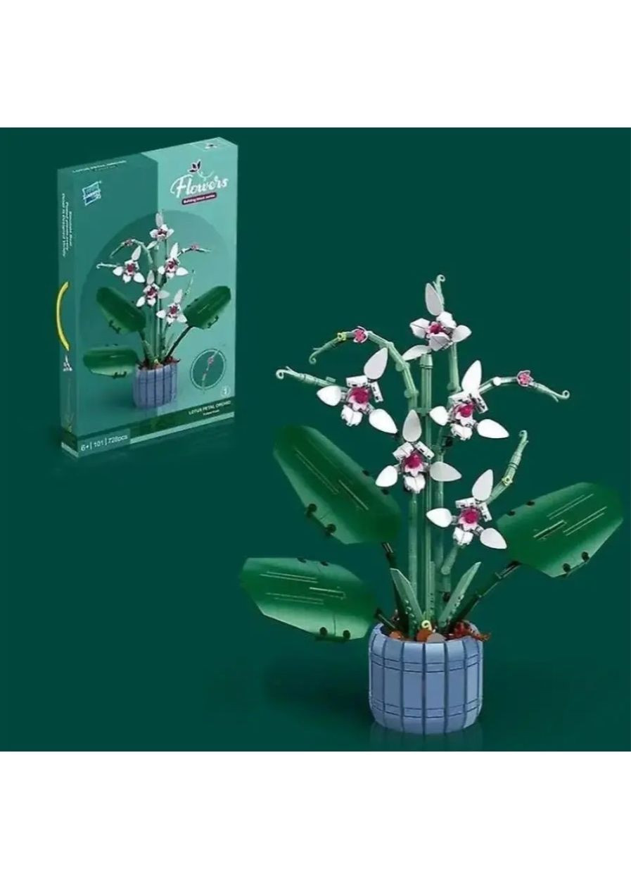 Конструктор 3D Квітка Орхідея, 728 деталей, пластиковий, для розвитку, творчості та декору кімнати No Brand (364191373)