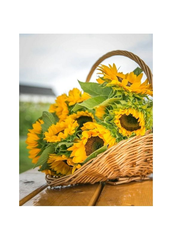 Алмазна мозаїка Соняхи см для творчості дітей та дорослих картина з акриловими стразами Strateg (369758808)