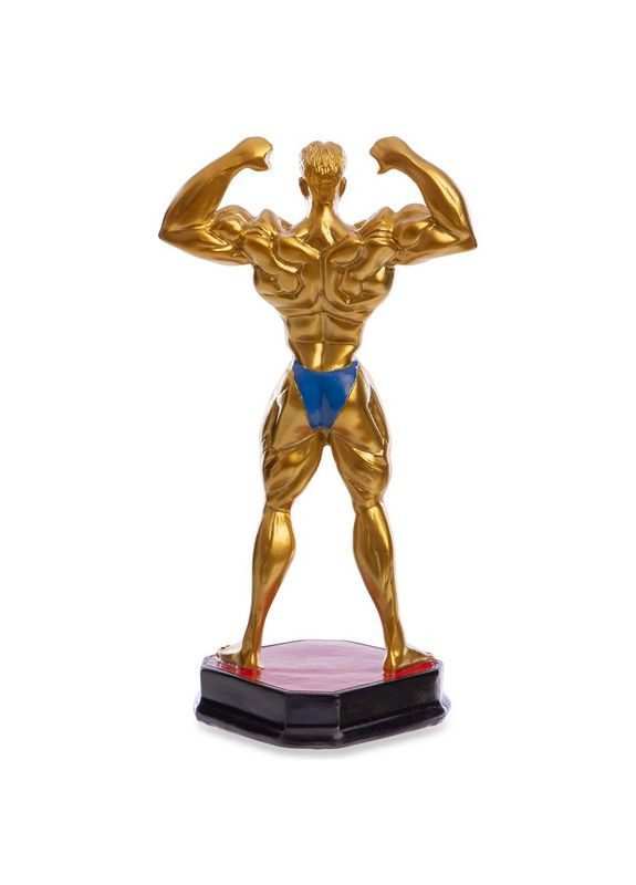 Статуэтка (фигурка) наградная спортивная Бодибилдинг Бодибилдер SP-C-2245-A5 (р-р 27х14х12см) (C-2245-A5) SP-Sport (354703655)