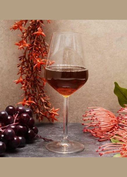 Набор бокалов для вина Allegra PS-440080-2 350 мл 2 шт. Pasabahce (364761588)