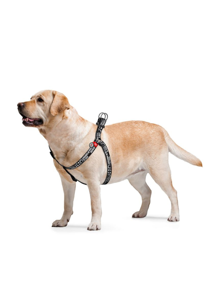 Шлея для собак анатомічна Nylon "Темний лицар" пластиковий фастекс, Ш 10 мм, Д 2840 см WAUDOG (279561494)