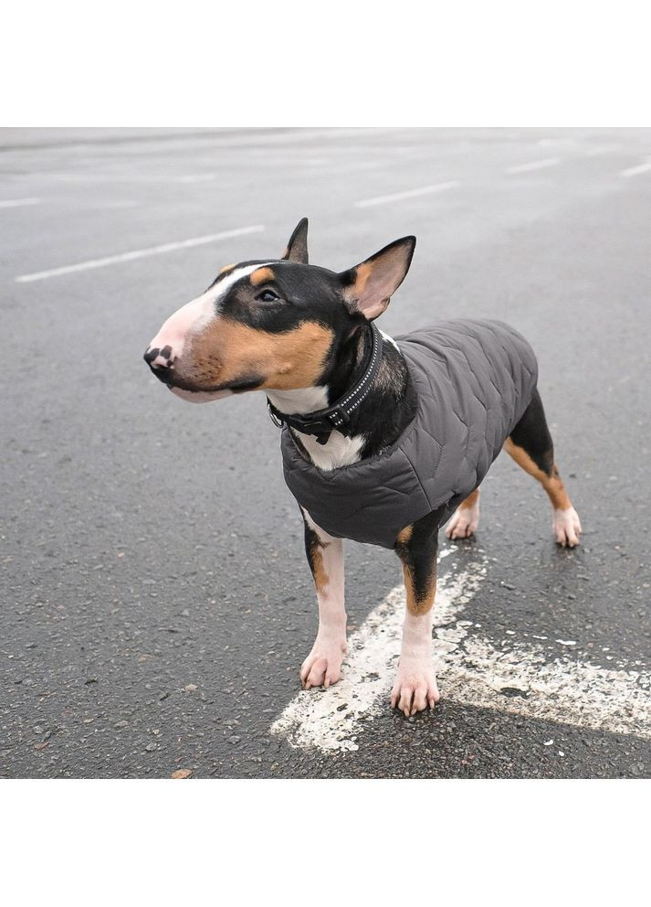 Жилет E.Vest для собак Pet Fashion (369980429)