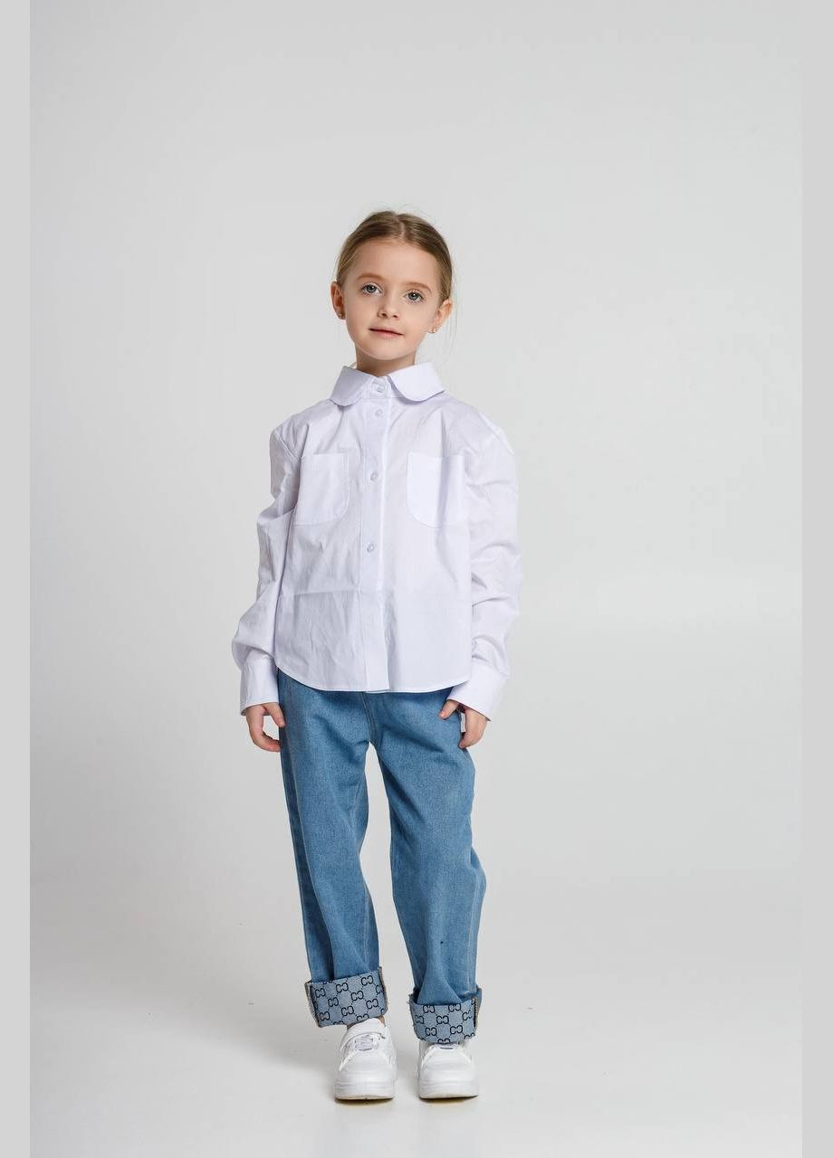 Белая праздничный, классическая, повседневный, кэжуал, вечерний рубашка EVAN