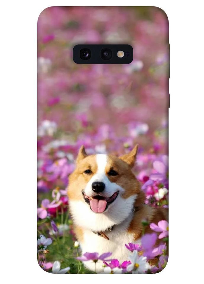 Чохол з принтом для Samsung Galaxy S10e / на самсунг галаксі с10е Коргі у квітах No Brand (339062881)