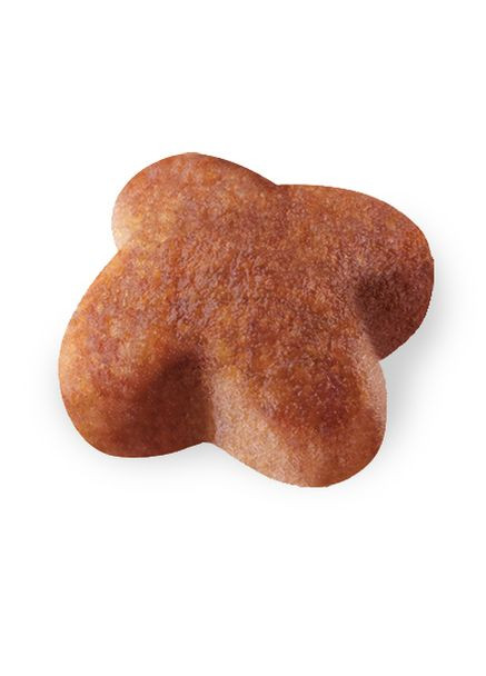 Сухой корм для собак породы джек рассел терьер Jack Russell Terrier 1.5 кг Royal Canin (266274099)