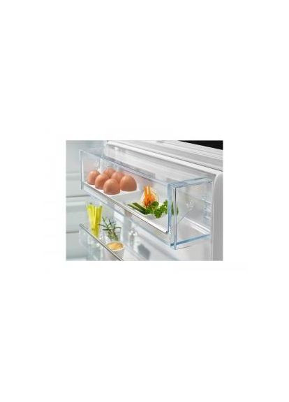 Холодильник із морозильною камерою RNT6TE19S0 Electrolux (315143741)