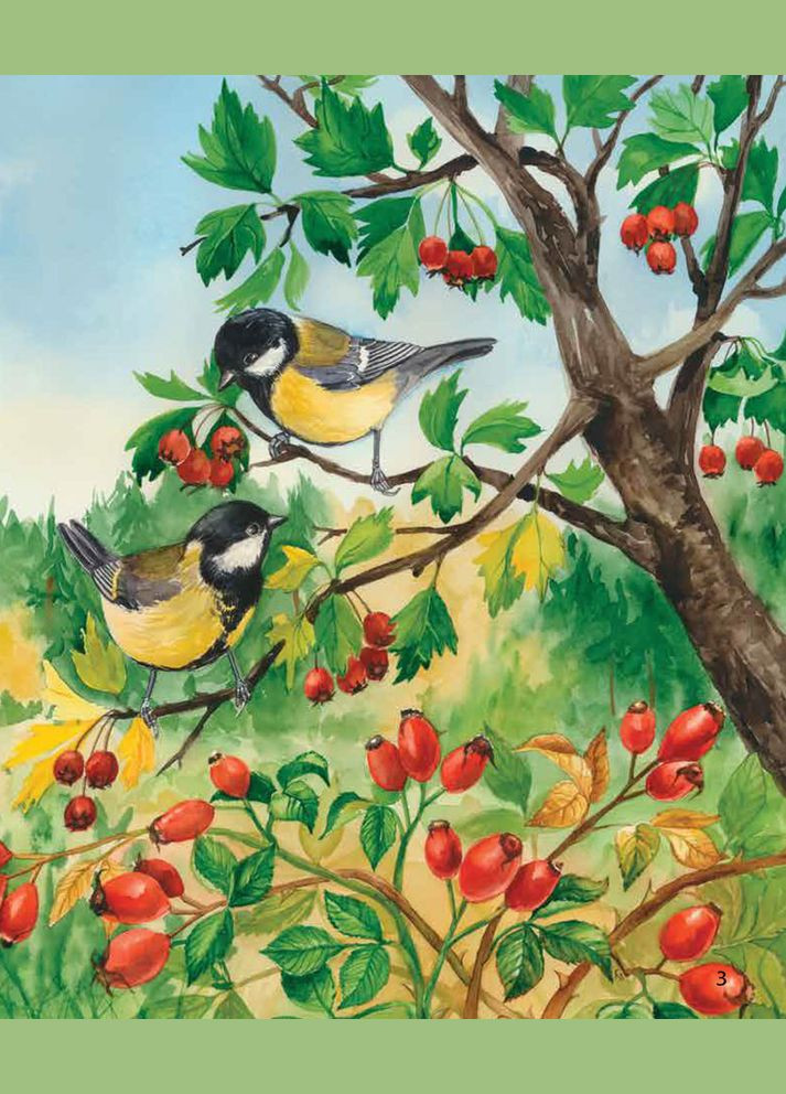 Энциклопедия дошкольника Лес РАНОК (323480345)