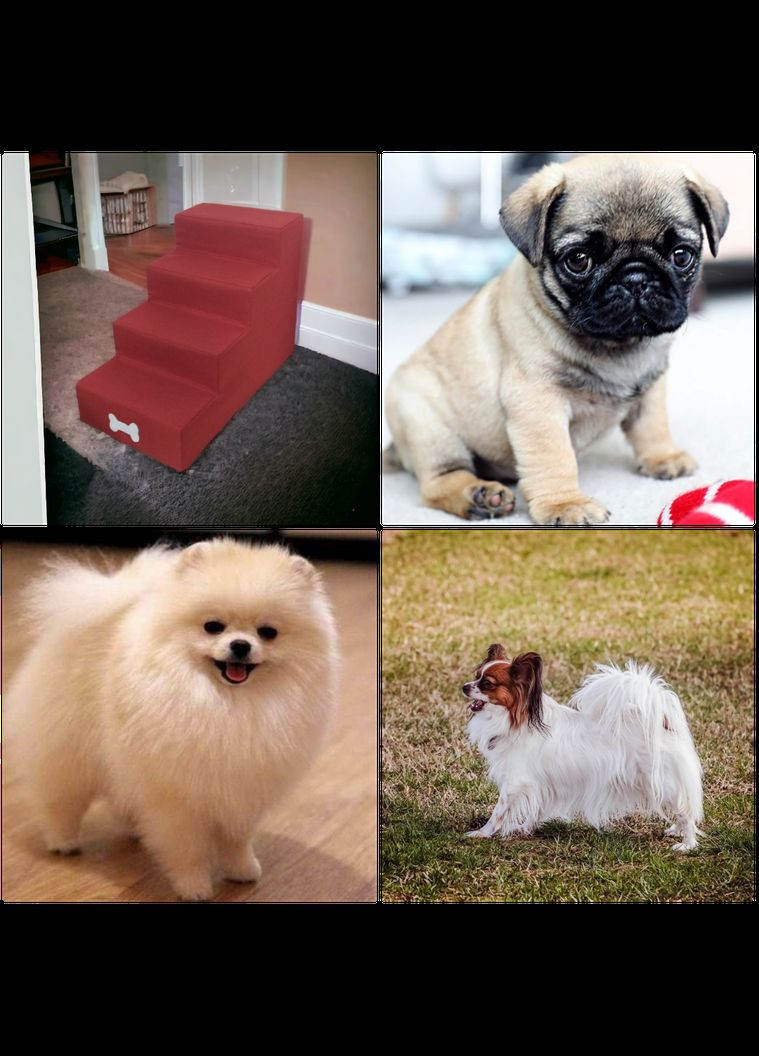 Лестница для собак купить Портативная лестница для собак Лестница для щенков Лесенка для щенков No Brand (339786139)