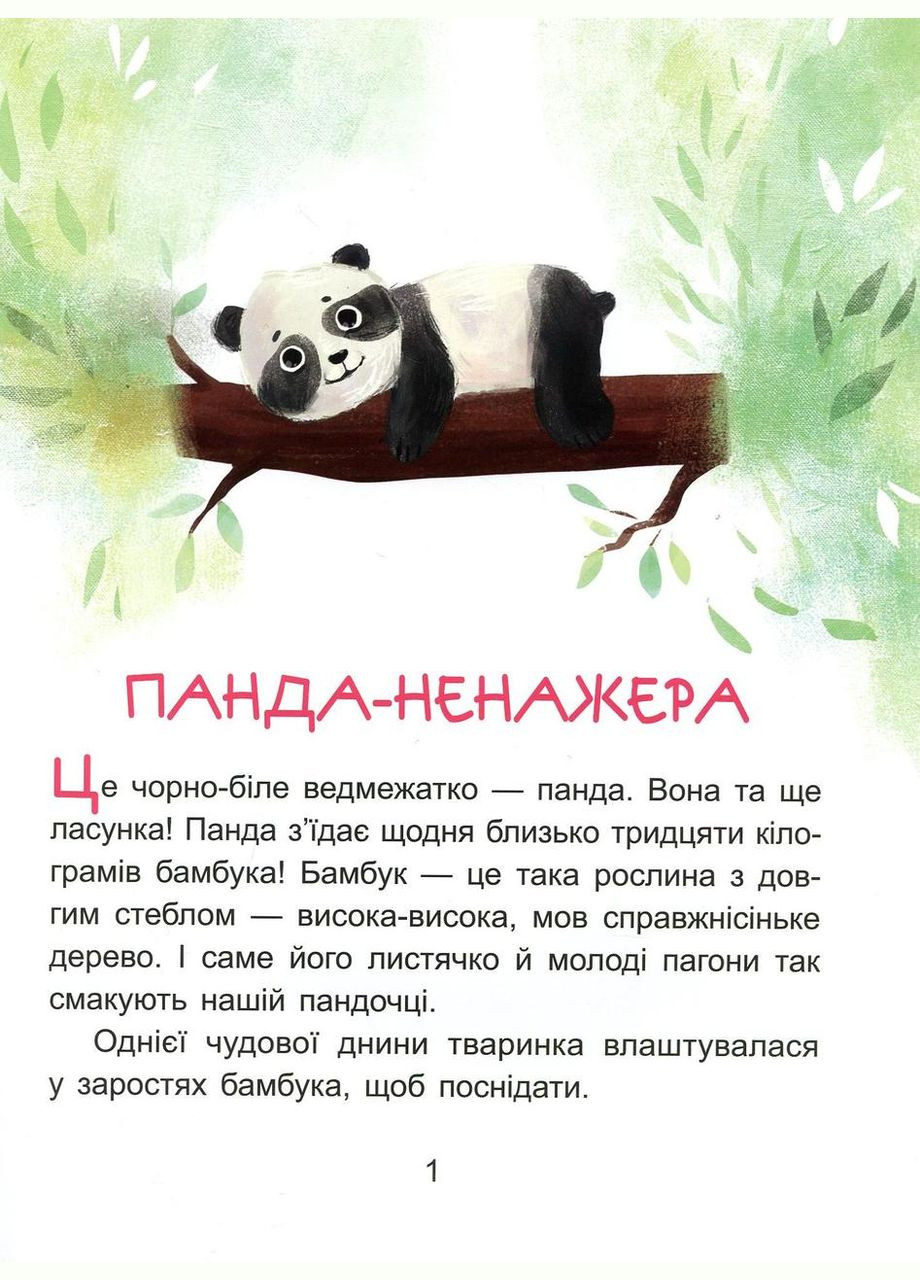 Казкихвилинки. Коала-сонько Читаємо 10 хвилин 2-й рівень складності (9786170943071) Кенгуру (316080849)