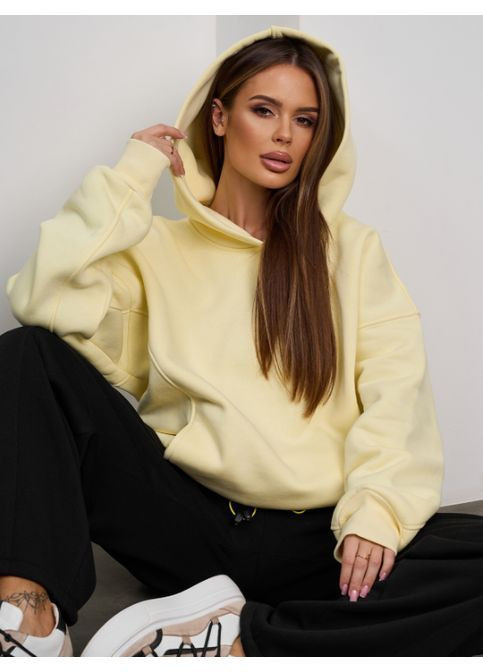 Утепленное свободное худи No Brand (369560394)