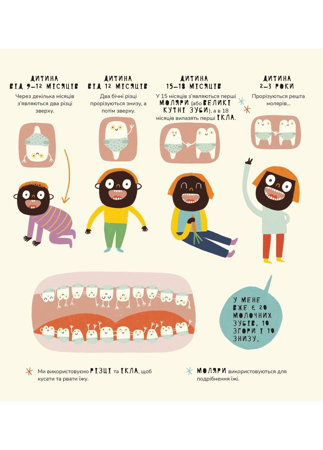 Книжка про зуби Mamino (370119128)