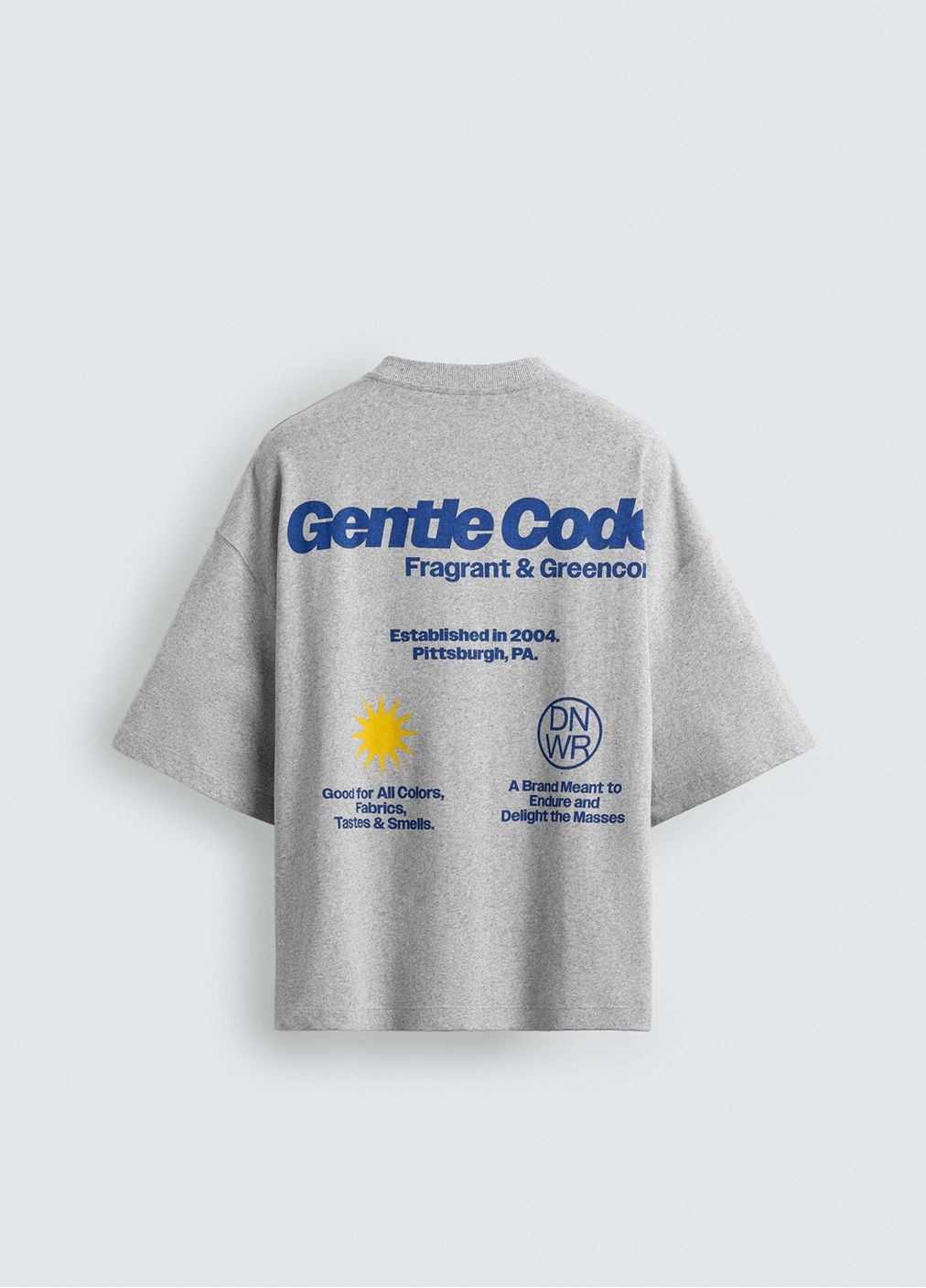 Сіра футболка Zara