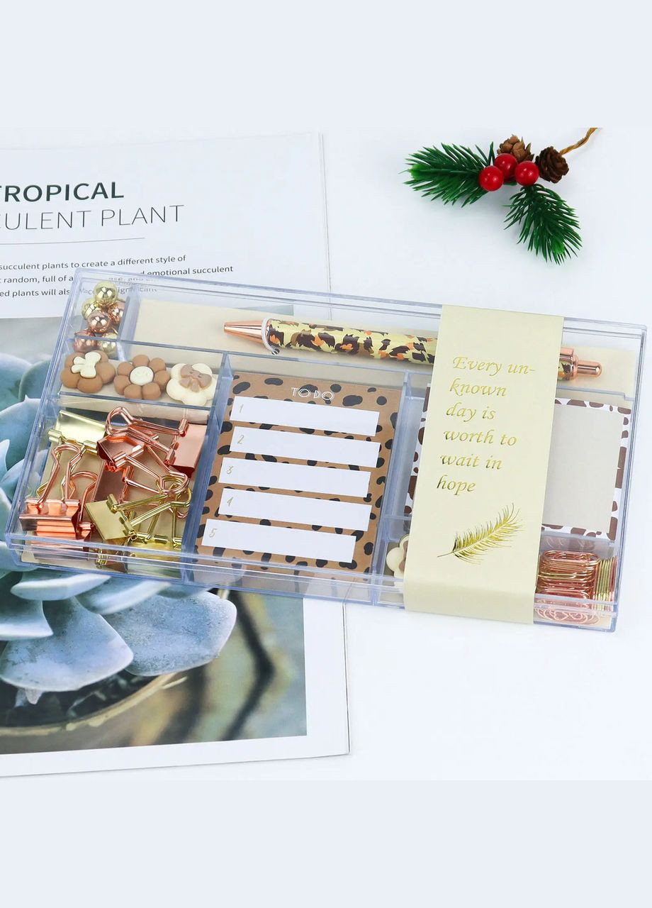 Подарочный набор канцелярии для учебы и работы, органайзер, ручка, скрепки и стикеры, леопардовый бокс No Brand (369802958)