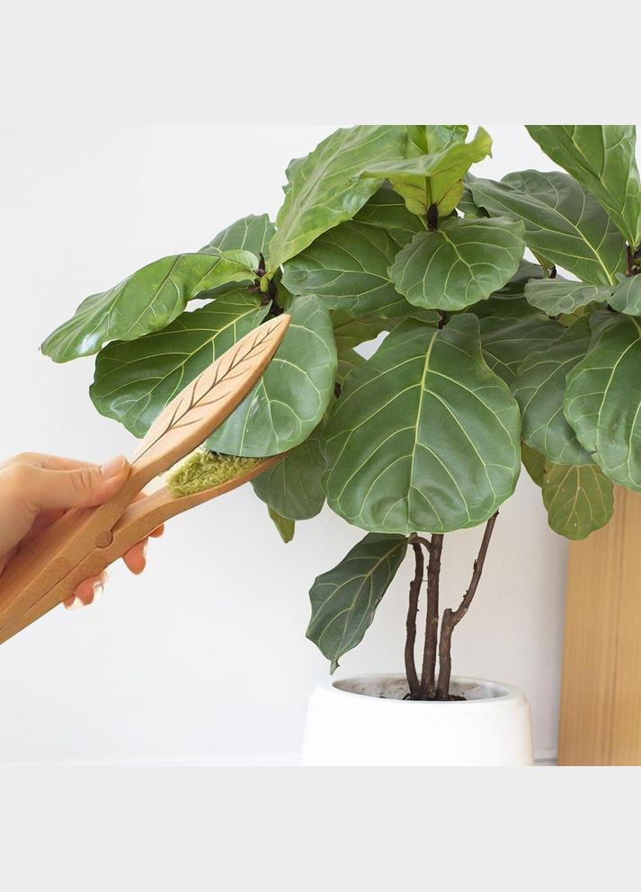 Щетка для очистки листьев вазонов (TA0109) No Brand (327416725)