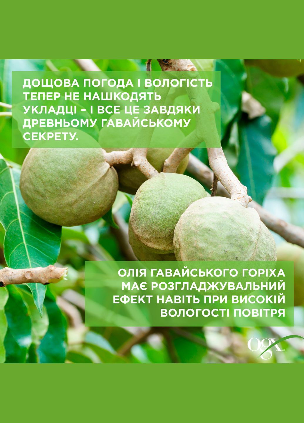 Кондиціонер для волосся Kukuí Oil зволоження та гладкість з олією гавайського горіха, 385 мл OGX 22796974228 (328397009)