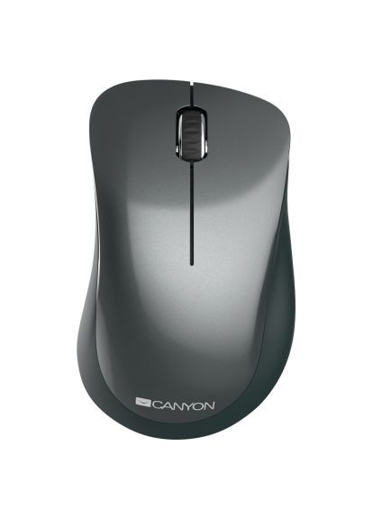 Мышка (CNE-CMSW11B) Canyon MW-11 Wireless Pixart Black (366649835)