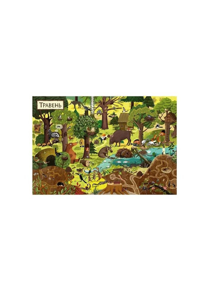 Книга Год в лесу - Эмилия Дзюбак Издательство Старого Лева (9786176792789) Видавництво Старого Лева (314972442)