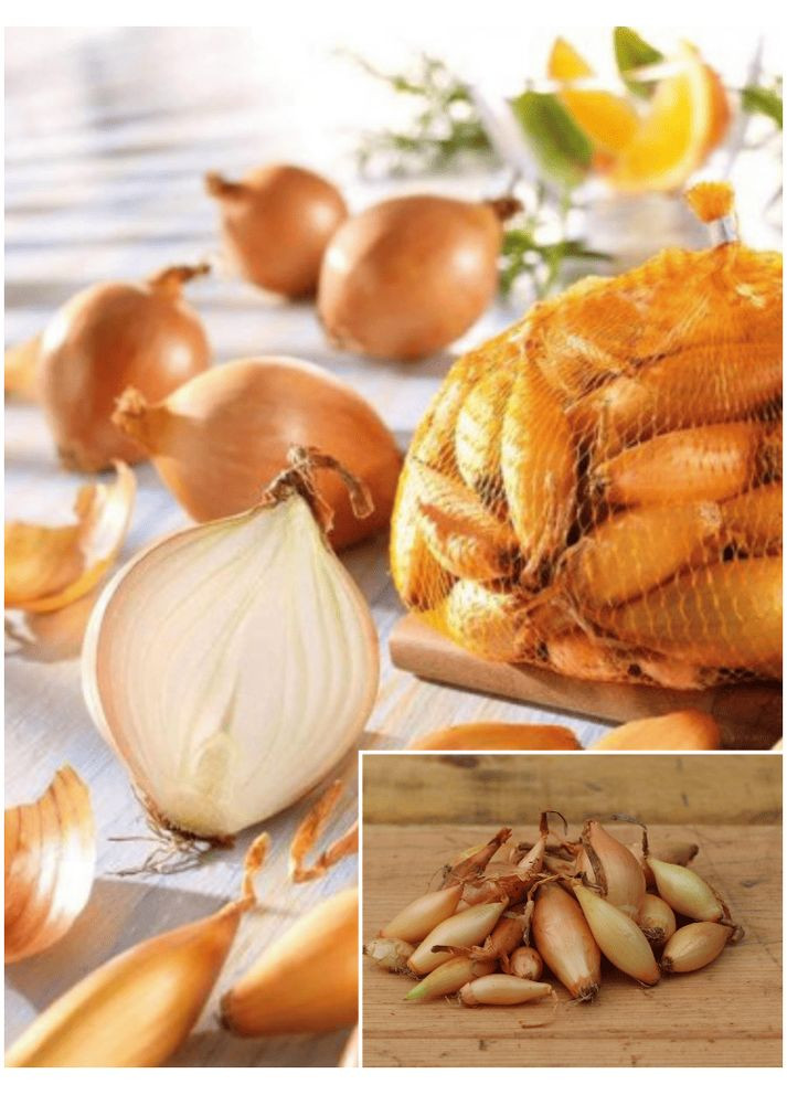 Лук сеянный Бирнформиг (Birnformige/Bamberger) 0,5 кг. TOP (364535485)