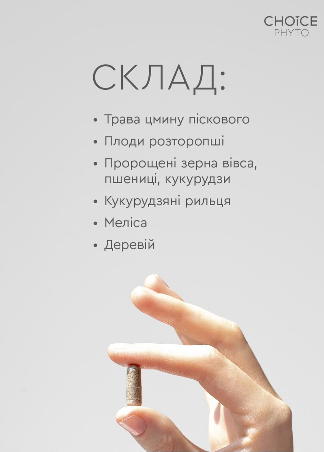 Ливсейф - для печени и желчного пузыря фитокомплекс PHYTO Чойс (30 капсул) CHOICE (332987523)