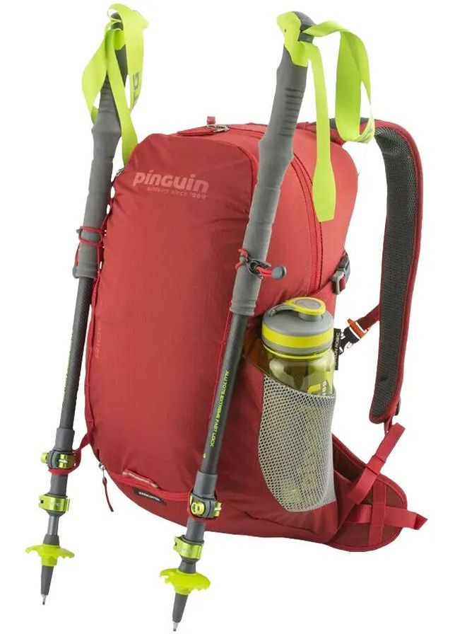 Рюкзак Ride 25 Red Pinguin (341483662)