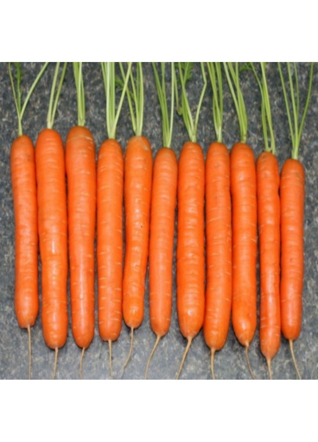 Семена моркови Лагуна F1 Nunhems (329432068)