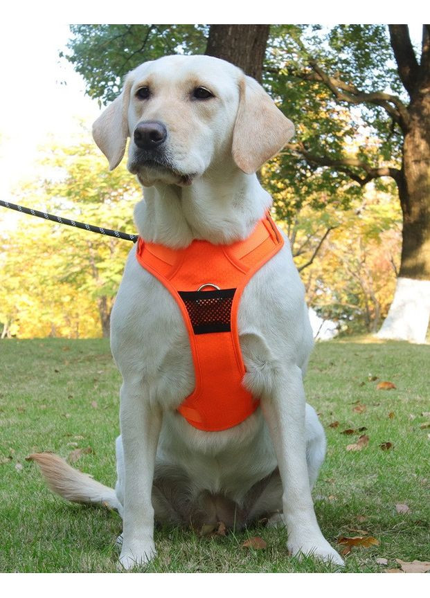 Шлей для собак No Brand (362136386)