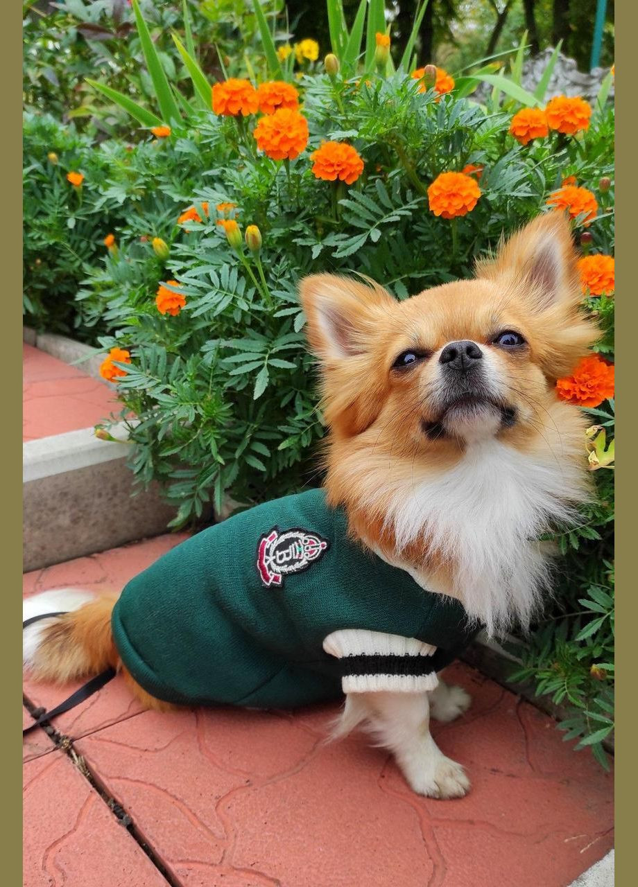 Классический жилет для собак Pet Style "Vвырез" Зеленый XS No Brand - (323237696)