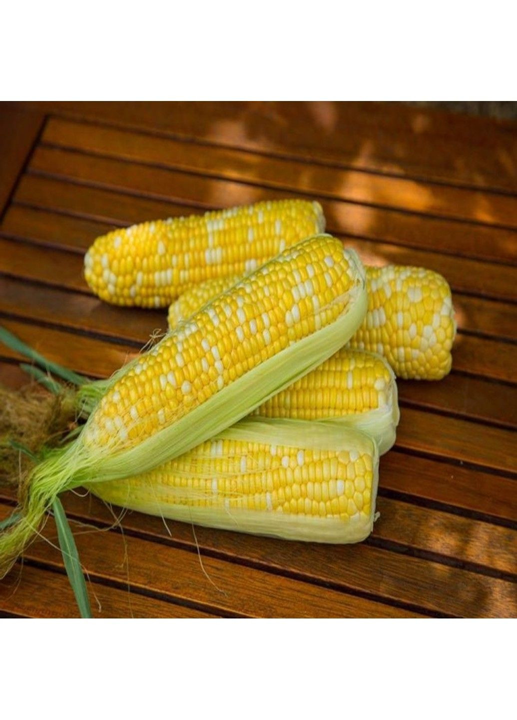 Насіння кукурудзи Ракель F1 Clause (333036087)