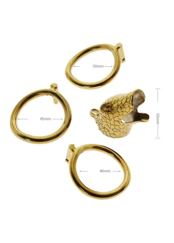 Пояс вірності для чоловіків Ophicephalus Chastity Device Bdsm4u (401478683)