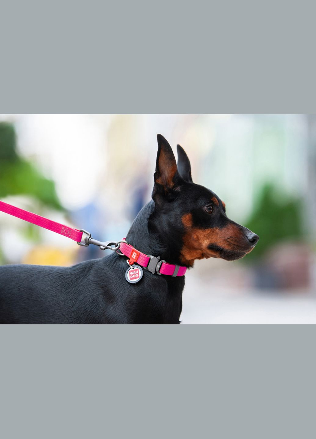 Ошейник для собак водостойкий Waterproof c QR-паспортом, металлическая пряжка-фастекс, Ш 25 мм, Дл 34-49 см розовый WAUDOG (332879788)