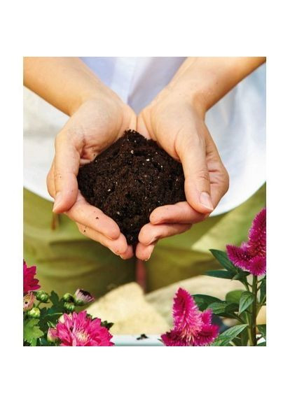 Торфосуміш універсальна Sana 40 л 1150 Compo (316623154)