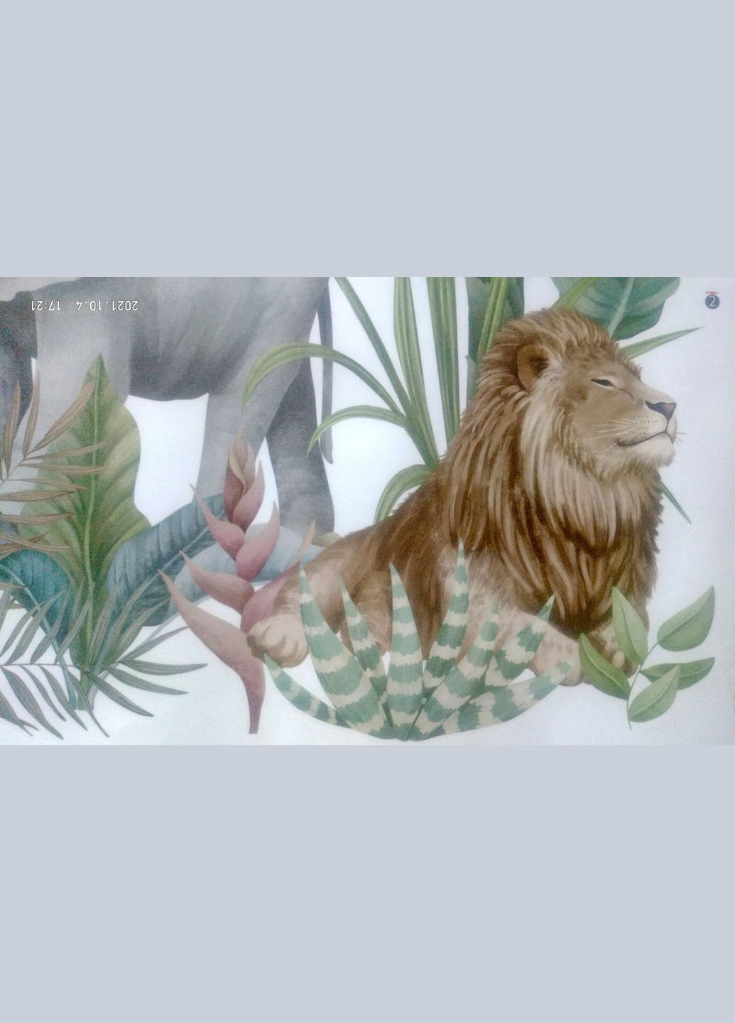 Вінілові наклейки на стіну Звіри та птахи в лісі (лист 60 х 100 см) Б475-1 No Brand (302241928)