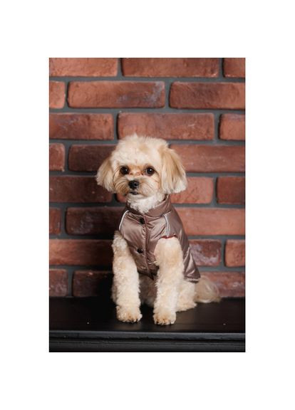 Жилет Hardy для собак размер Pet Fashion (333141067)