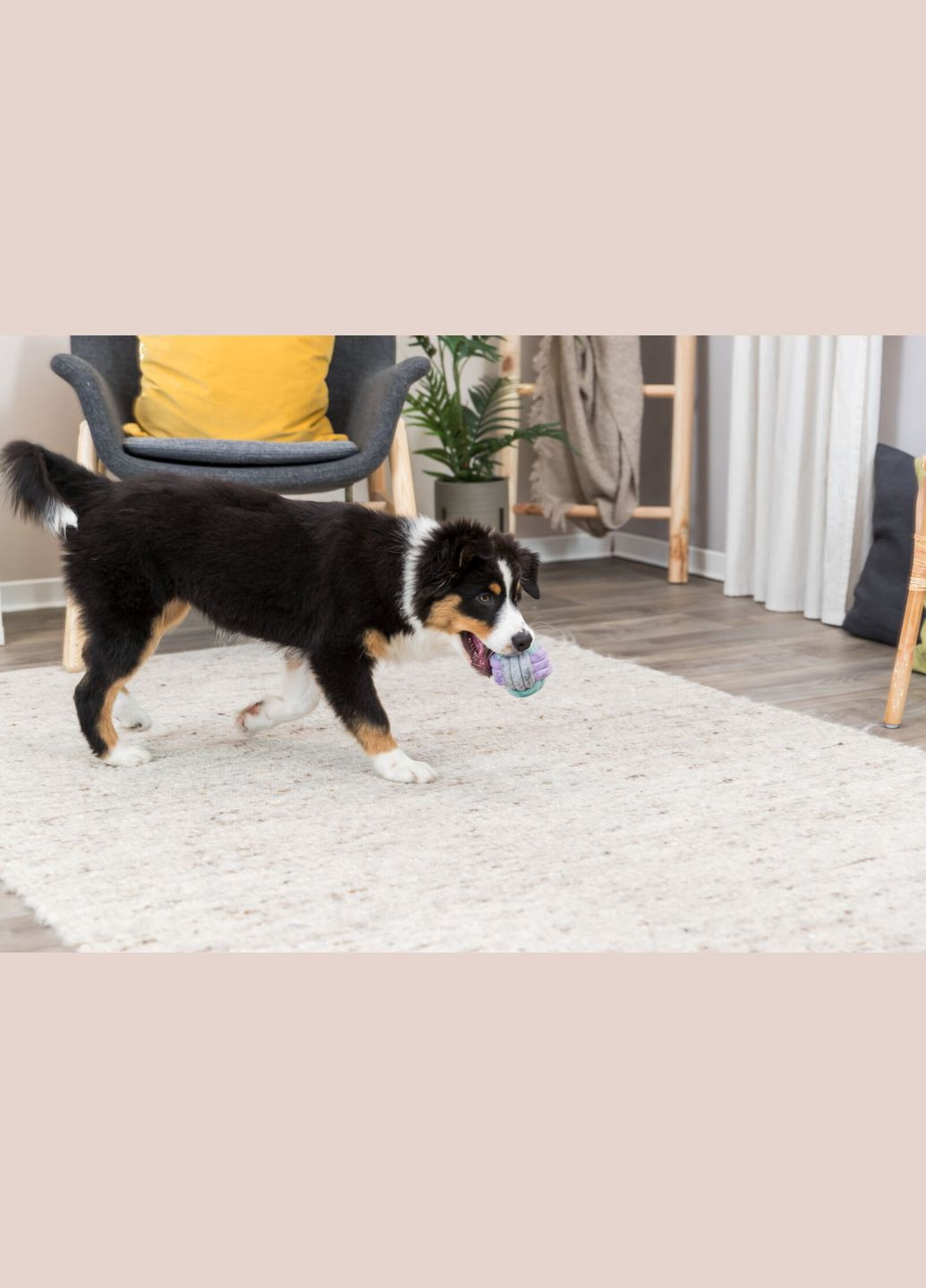 Игрушка для щенков "Мяч-канат" d=9 см (4011905328140) Trixie (315717572)