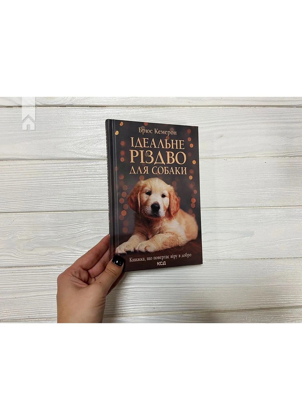 Ідеальне Різдво для собаки КСД (370102802)