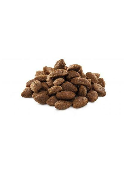 Сухой корм Dog Sport для собак с высокими энергозатратами, с курицей, 3 кг Brit Premium (349823924)