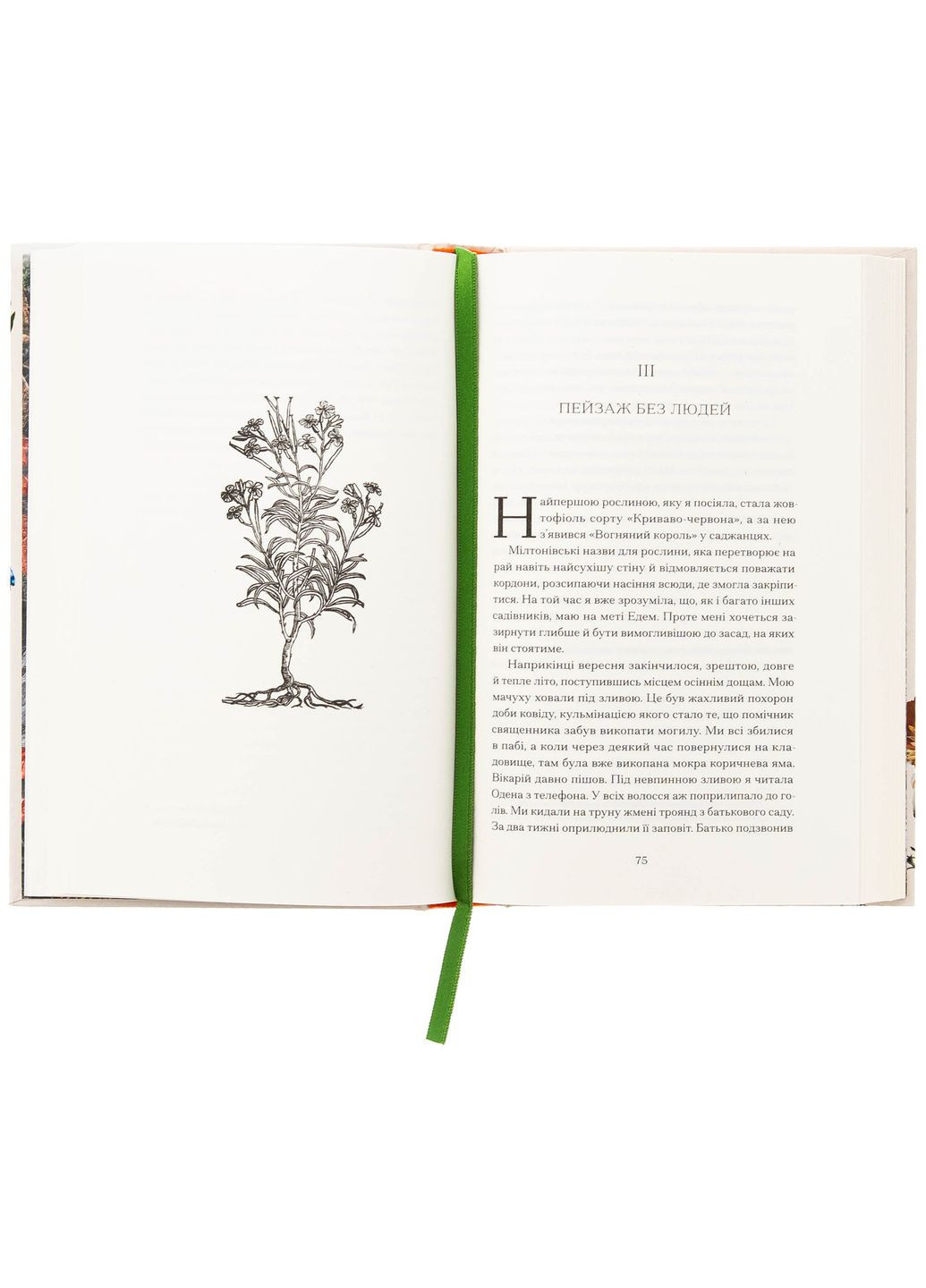 Сад против времени — Оливия Ленг |, книга на украинском, новая, твердая No Brand (363985200)