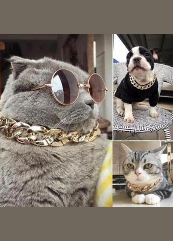 Ошейник цепочка пластиковое украшение для собак и кошек Золото 40*2 см No Brand (302372410)