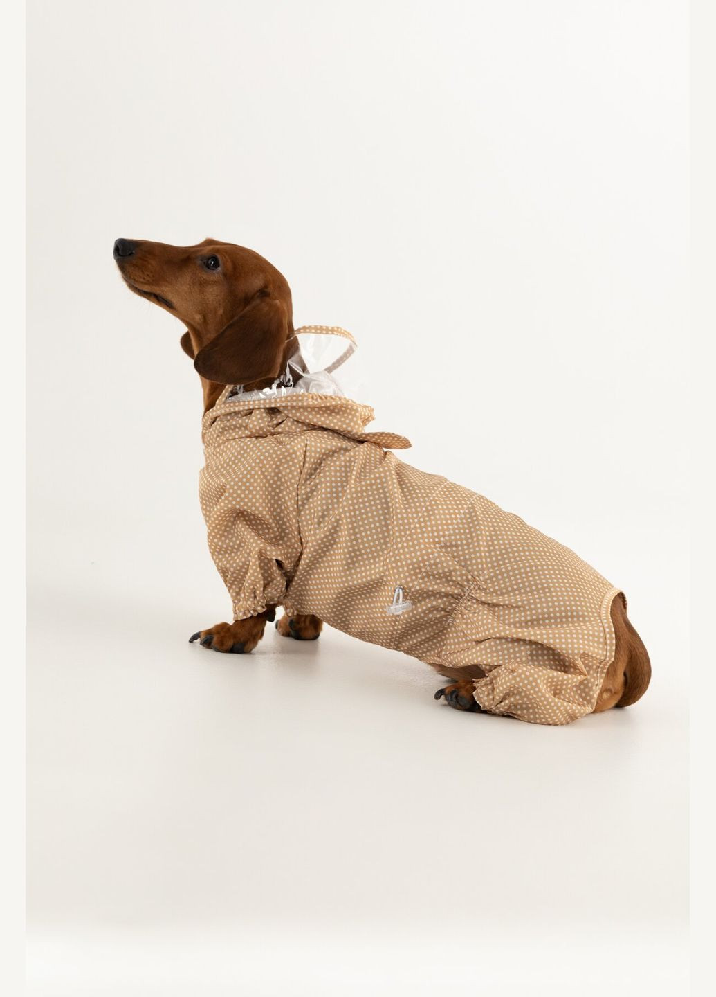 Комбинезон для животных KM52621 Бежевый (2000990380746D) shop (2000990380746) KUMAOCHONGWUYONGPIN (363829780)