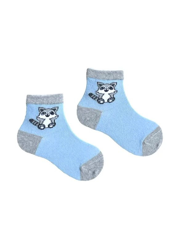 Шкарпетки дитячі "Єнотик" з індійської бавовни 413002 16-18 moi FAINI (315483670)