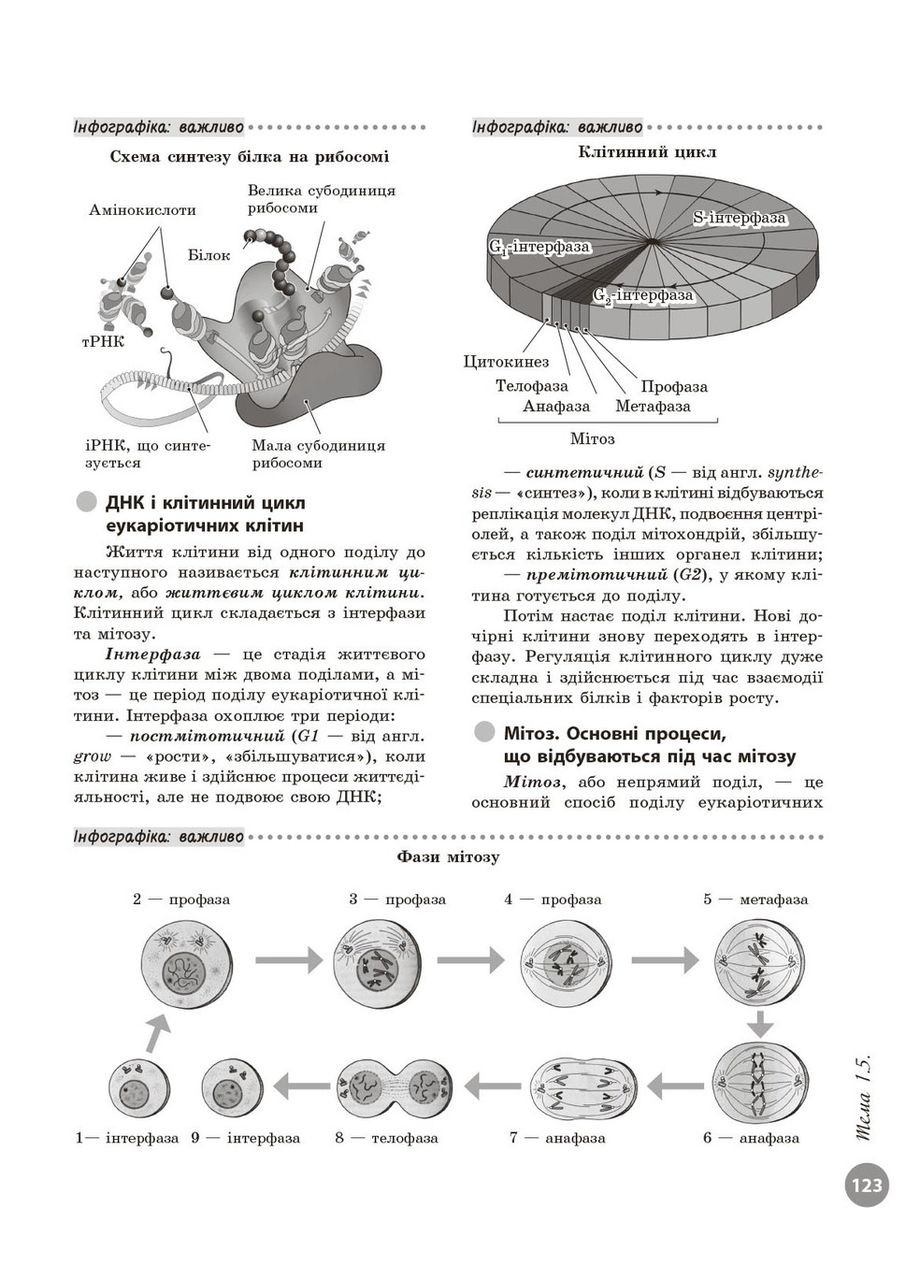 НМТ 2026. Біологія. Повний курс підготовки. Тагліна О.В. РАНОК (364487680)