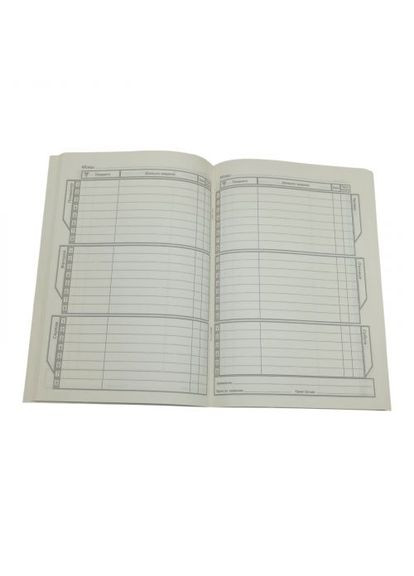 Щоденник, Розкішний кіт. 160х235 мм, 40 арк. MANDARIN (390020032)