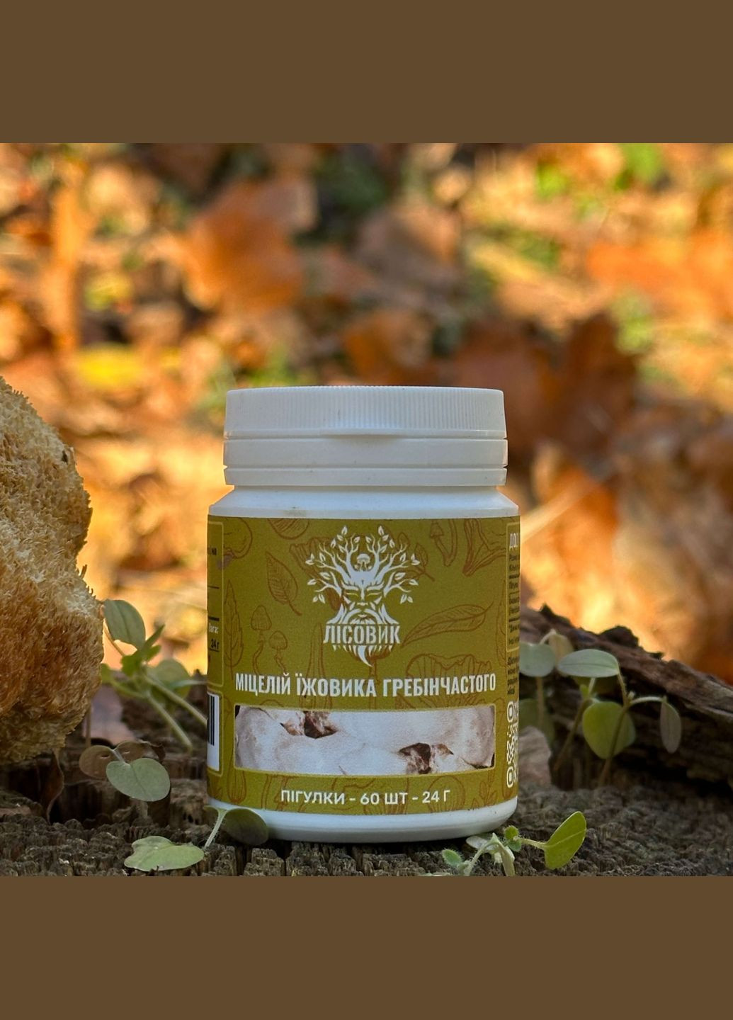 Мицелий ежика гребенчатого в таблетках 60 шт по 0,4 г Лісовик (334292801)