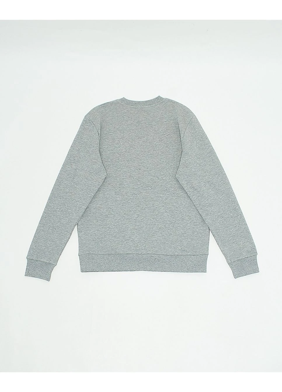Сірий світшот фліс,сірий з принтом,jack&jones Jack & Jones (383437658)