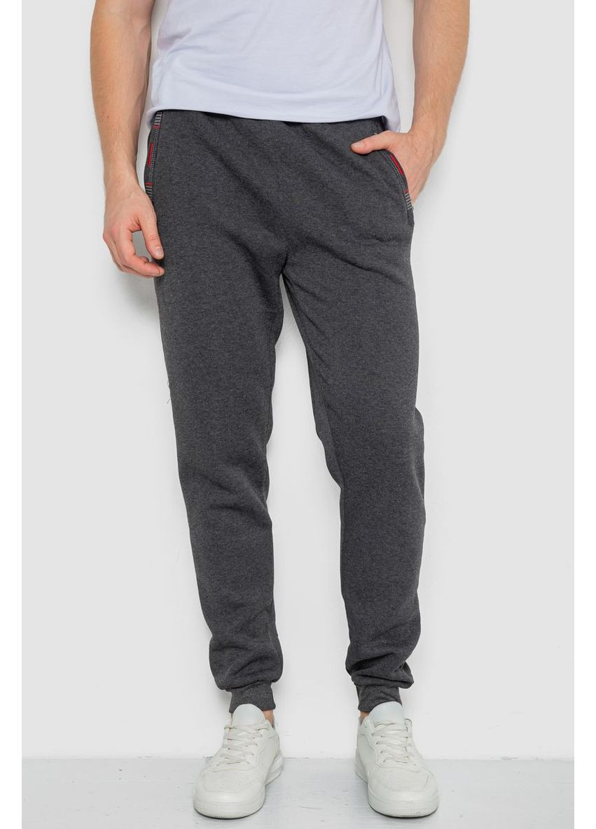 Темно-серые демисезонные брюки Ager