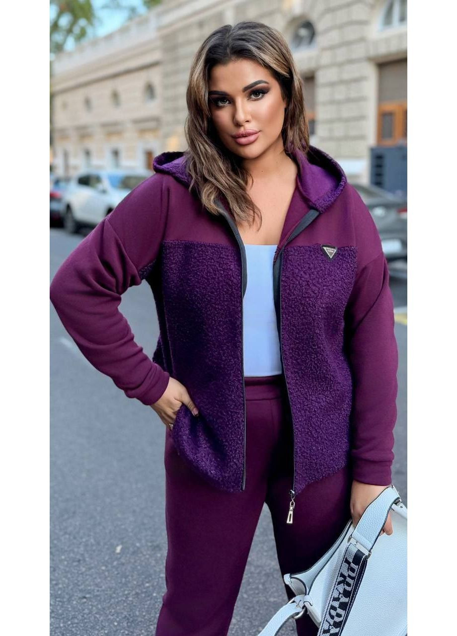 Костюм двойка SN эко барашек на флисе+тринитка на флисе,штаны и кофта с капюшоном Україна (362697591)