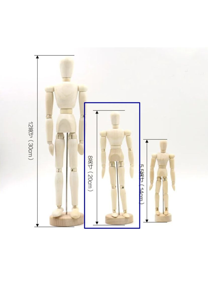 Деревянная модель человека 20 см No Brand (278654749)