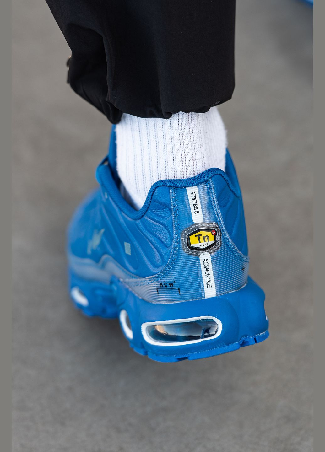 Синій Осінні кросівки чоловічі Nike Air Max TN Plus