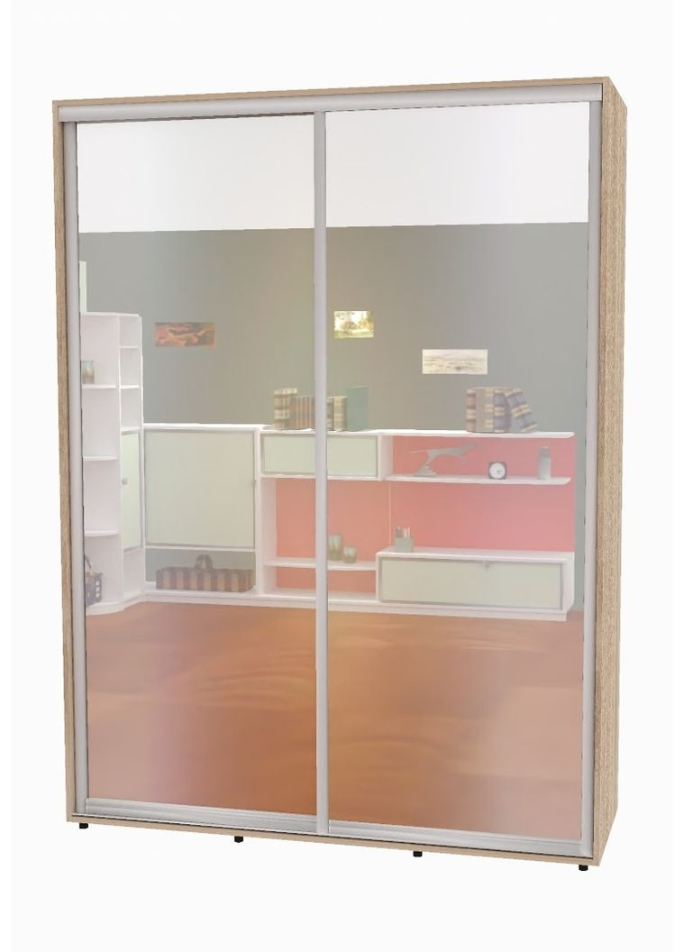 Шкаф-купе двухдверный 170*45*230 см Дуб Сонома 2 двери Зеркало Алекса (360476929)